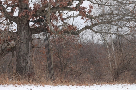 Whitetail Wonderland For Sale in Southwestern Wisconsin - image 28