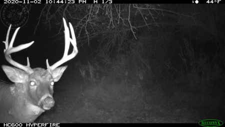 Whitetail Wonderland For Sale in Southwestern Wisconsin - image 2