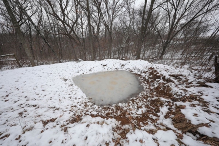 Whitetail Wonderland For Sale in Southwestern Wisconsin - image 26