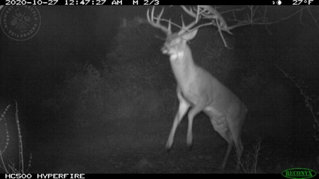 Whitetail Wonderland For Sale in Southwestern Wisconsin - image 37