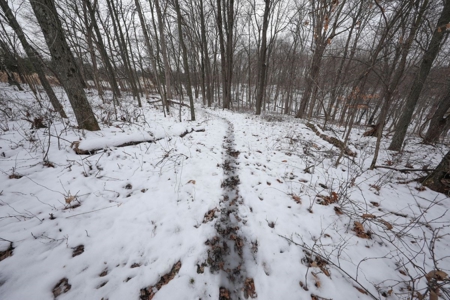 Whitetail Wonderland For Sale in Southwestern Wisconsin - image 23