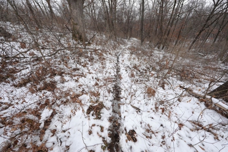 Whitetail Wonderland For Sale in Southwestern Wisconsin - image 43