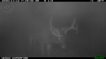Whitetail Wonderland For Sale in Southwestern Wisconsin - image 40