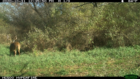 Whitetail Wonderland For Sale in Southwestern Wisconsin - image 19
