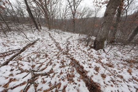 Whitetail Wonderland For Sale in Southwestern Wisconsin - image 44