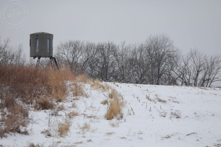 Whitetail Wonderland For Sale in Southwestern Wisconsin - image 25