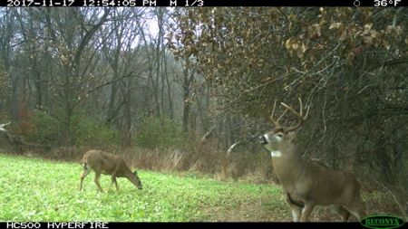 Whitetail Wonderland For Sale in Southwestern Wisconsin - image 46
