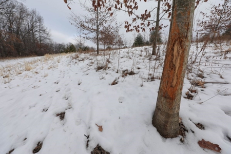 Whitetail Wonderland For Sale in Southwestern Wisconsin - image 20