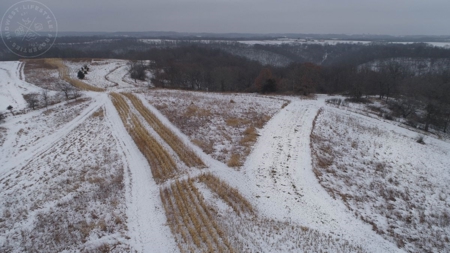 Whitetail Wonderland For Sale in Southwestern Wisconsin - image 35