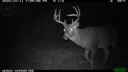 Whitetail Wonderland For Sale in Southwestern Wisconsin - image 41