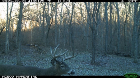 Whitetail Wonderland For Sale in Southwestern Wisconsin - image 15