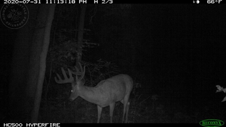 Whitetail Wonderland For Sale in Southwestern Wisconsin - image 4