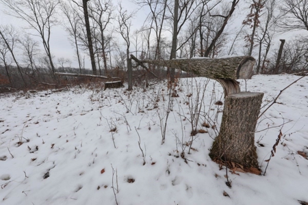 Whitetail Wonderland For Sale in Southwestern Wisconsin - image 21