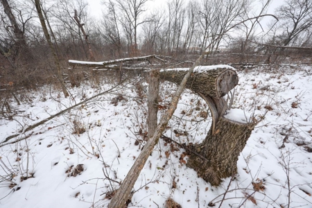 Whitetail Wonderland For Sale in Southwestern Wisconsin - image 27