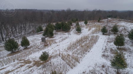 Whitetail Wonderland For Sale in Southwestern Wisconsin - image 30