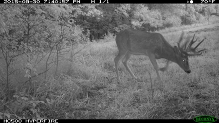 Whitetail Wonderland For Sale in Southwestern Wisconsin - image 47