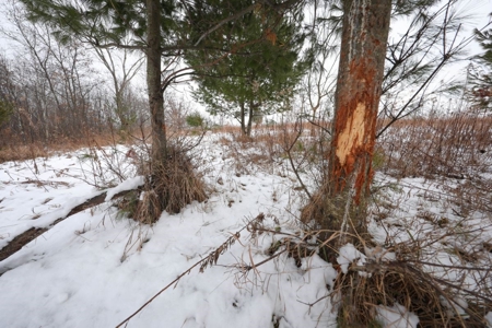 Whitetail Wonderland For Sale in Southwestern Wisconsin - image 24