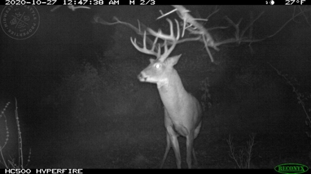 Whitetail Wonderland For Sale in Southwestern Wisconsin - image 3