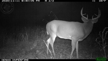 Whitetail Wonderland For Sale in Southwestern Wisconsin - image 39