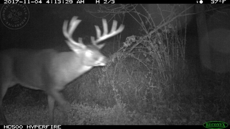 Whitetail Wonderland For Sale in Southwestern Wisconsin - image 14