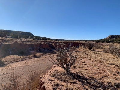 South Eastern NM Ranch For Sale - image 12