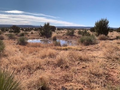 South Eastern NM Ranch For Sale - image 19