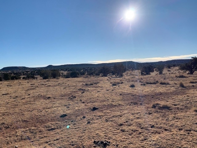 South Eastern NM Ranch For Sale - image 3