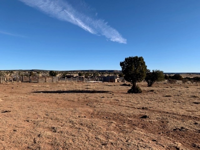 South Eastern NM Ranch For Sale - image 1