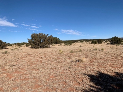South Eastern NM Ranch For Sale - image 21
