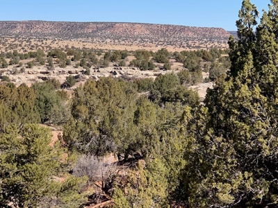 South Eastern NM Ranch For Sale - image 18