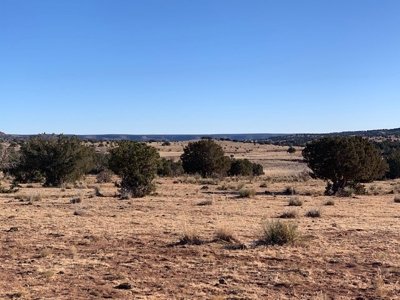 South Eastern NM Ranch For Sale - image 5