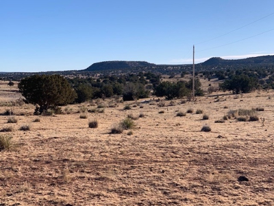 South Eastern NM Ranch For Sale - image 4