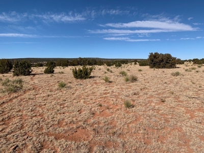 South Eastern NM Ranch For Sale - image 20
