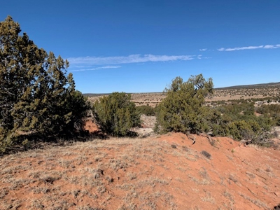 South Eastern NM Ranch For Sale - image 17