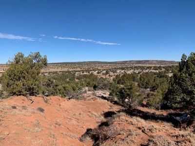 South Eastern NM Ranch For Sale - image 16