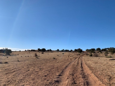 South Eastern NM Ranch For Sale - image 6