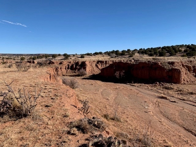 South Eastern NM Ranch For Sale - image 10