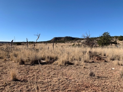 South Eastern NM Ranch For Sale - image 8