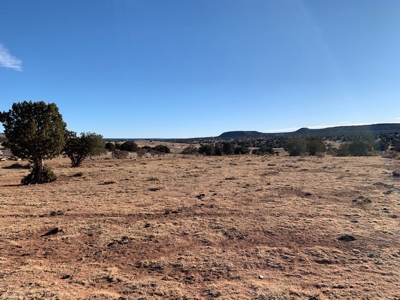 South Eastern NM Ranch For Sale - image 2