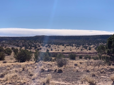 South Eastern NM Ranch For Sale - image 15