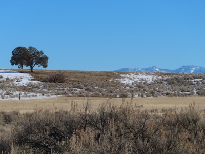 21 acres partially fenced with Well in Canby Ca - image 1