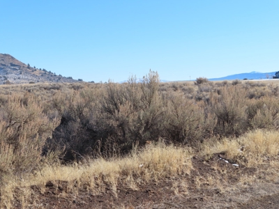 21 acres partially fenced with Well in Canby Ca - image 5