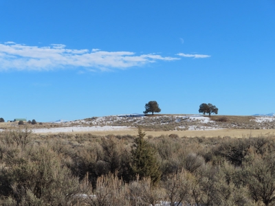 21 acres partially fenced with Well in Canby Ca - image 3