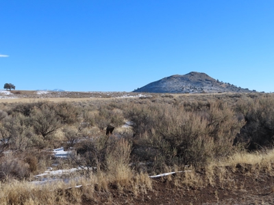21 acres partially fenced with Well in Canby Ca - image 4