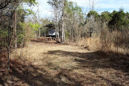 8 Wooded Acres Off Grid Rv East Texas Wood County Winnsboro - image 9