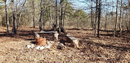 8 Wooded Acres Off Grid Rv East Texas Wood County Winnsboro - image 6