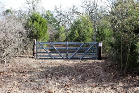 8 Wooded Acres Off Grid Rv East Texas Wood County Winnsboro - image 12