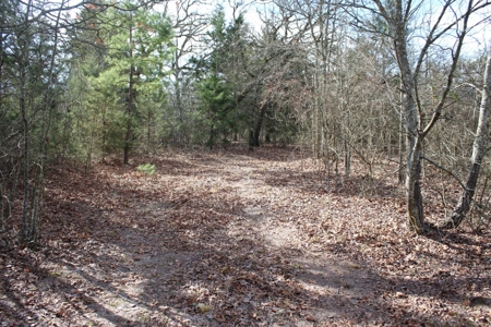 8 Wooded Acres Off Grid Rv East Texas Wood County Winnsboro - image 10