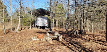 8 Wooded Acres Off Grid Rv East Texas Wood County Winnsboro - image 5