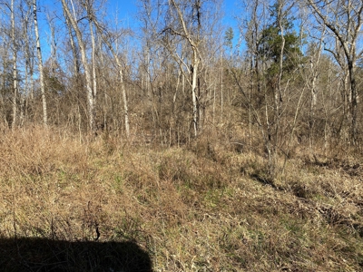 Ozark Missouri Hunting Whitetail Turkey Springs For Sale - image 3